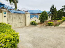 House 81
