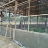 Tonyve Farms