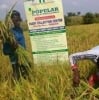 Popular Farms & Mills Limited