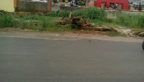 latest property