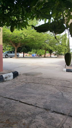 May Treasure Resort Limited Lokoja