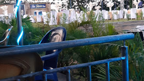 VirginRose Resorts