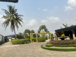 Patolam's Lounge