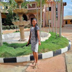 A & T Presidential Hotels