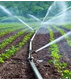 Micky Agricultural Engineering Ventures