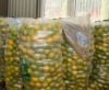 Niyya-Farm Group Ltd