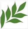 Comtrade Group