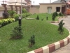 Hedoniek Landscape Contractors Ltd (HLCL)