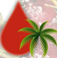 Palmsmith International
