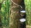 Akamkpa Rubber Processing Co