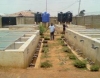 TeeMartins Aquaculture