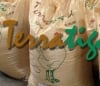 Terratiga Limited