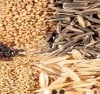 Seed Project Nigeria Limited