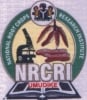 National Root Crops Research Institute, Umudike