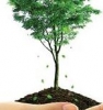 GreenLife Multipurpose Cooperative Society Nigeria Limited