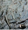 Big Fish farm