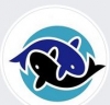 Helsuz Fish Farm