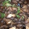 Mikky Snail and Cocoa Farm