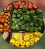 AAA Agricultural Services And Consultancy professional