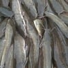 Iyom Idiogo Fishery Business