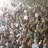 King Agro and Poultry Venture