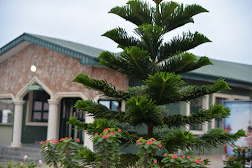 Delightsome Hotel and Resorts Ltd