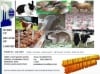 Jerolaade Agro & Animal Health Care Ventures