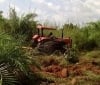 Ailoje Royal Farms Multipurpose Cooperative Society Limited
