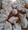 Benjamin Arinze Farms
