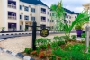 Royal Spring Palm