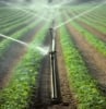 Simba Agric and Power