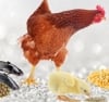 HOR Crystal Farm