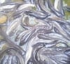 Goldfish Fisheries