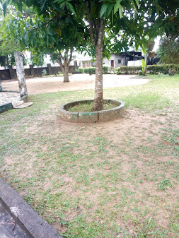 Green Star Hotel