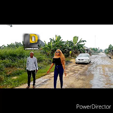 LANDDIARIES PROPERTIES