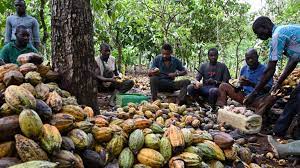 Akeem and Kamoru Nigeria Ltd