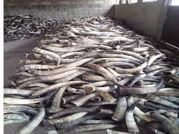 Fokes Nigeria Ltd