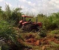 Ailoje Royal Farms Multipurpose Cooperative Society Ltd