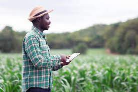 Agramondis Agricultural Consulting