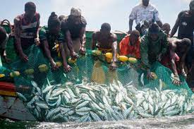 Livestock and Fisheries Development and Marketing Plc