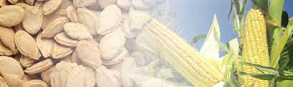 Safe Food and Feed Foundation