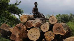 Cross River State Forestry Commission