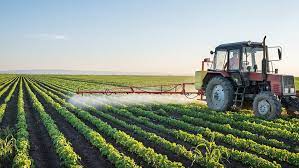 Agro Frank Nigeria Ltd