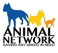Animal Network
