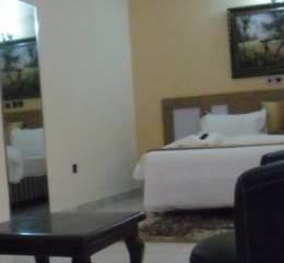 Green Polo Hotel