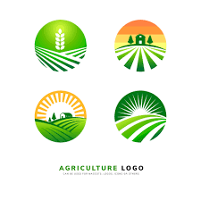 Maiduguri Flour Mills Limited
