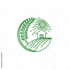 Globexia Limited
