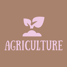 Achanwamba Farm