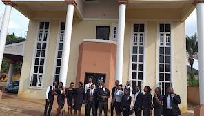 Oau Onyema And Co