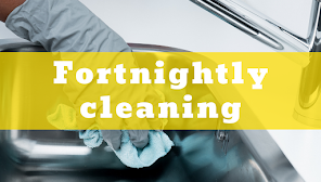 TrueBlue Cleaning Services